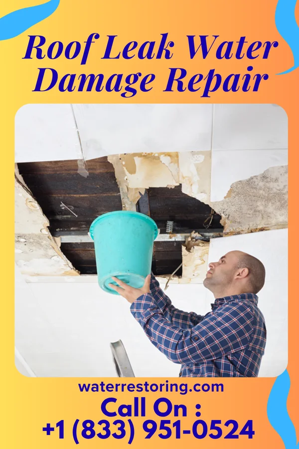 Roof Leak Water Damage Repair in Marble, CO